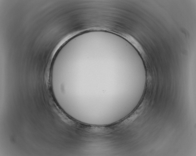 X0000113351052200910061014