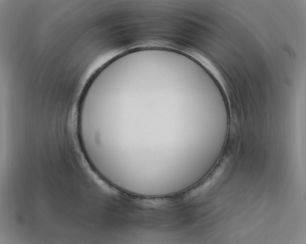 X0000113351053200910061014