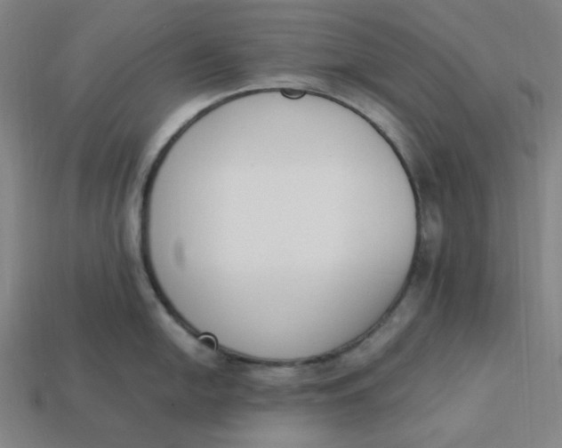 X0000113351054200910061015