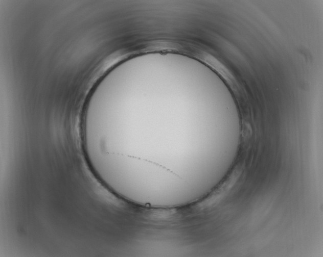 X0000113351055200910061015