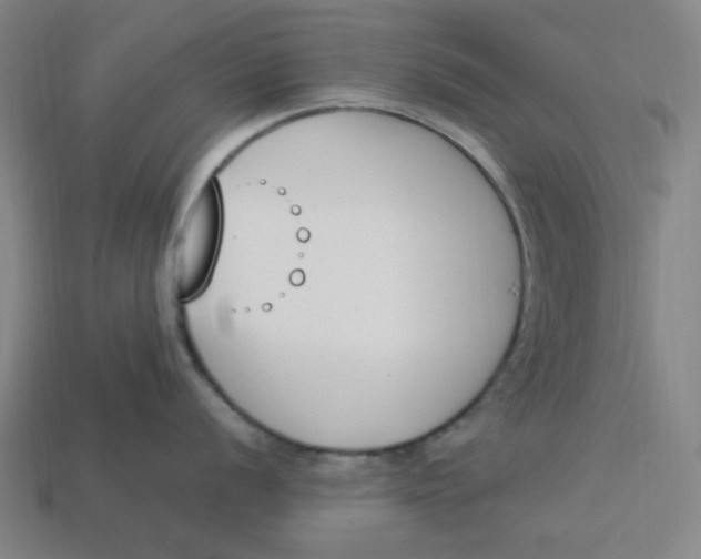 X0000113351056200910061015