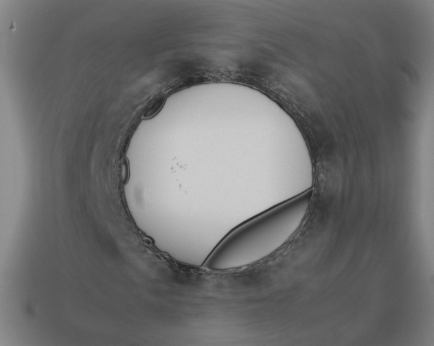 X0000113351057200910061014