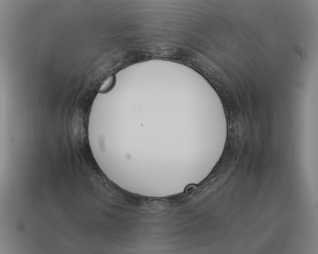 X0000113351058200910061014