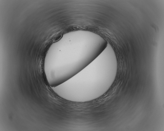 X0000113351060200910061014