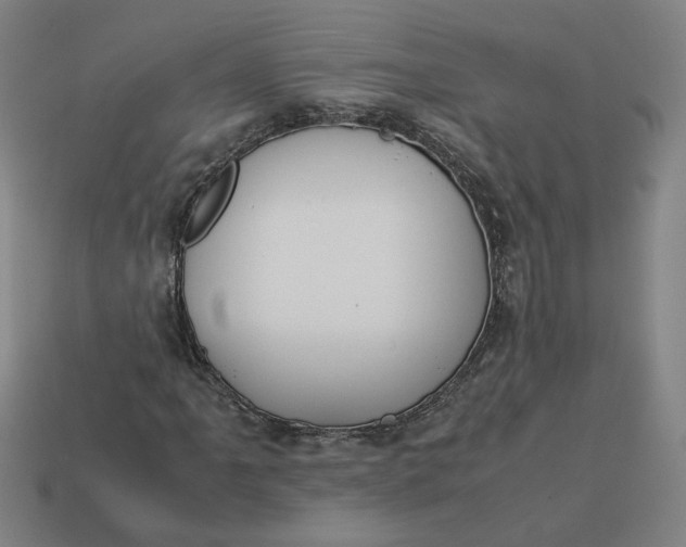 X0000113351061200910061014