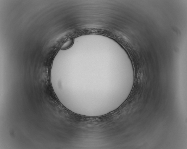 X0000113351062200910061014