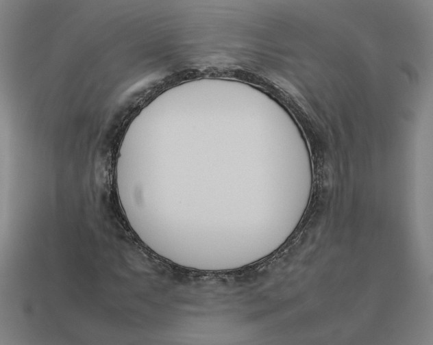 X0000113351063200910061014