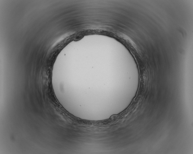 X0000113351064200910061014