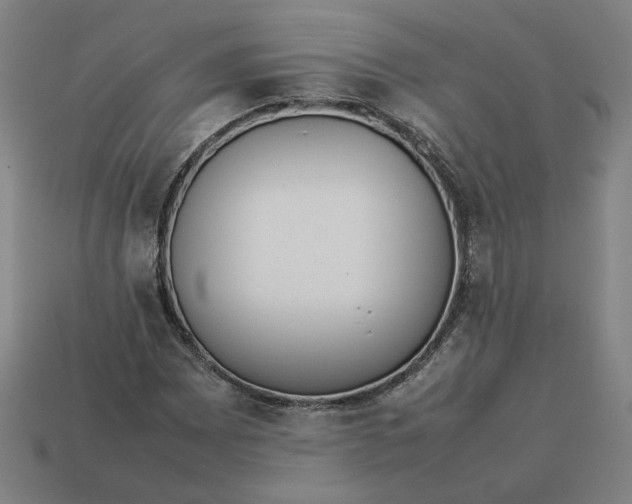 X0000113351065200910061014