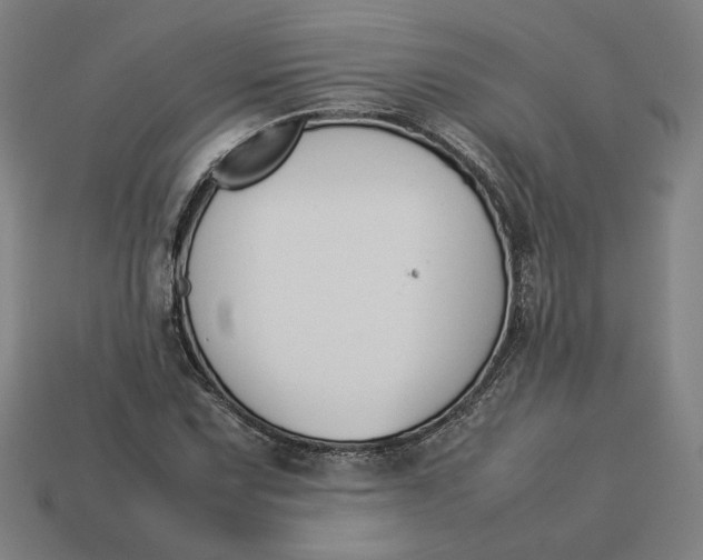 X0000113351067200910061014