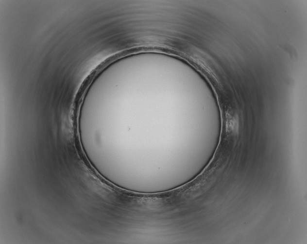 X0000113351068200910061014