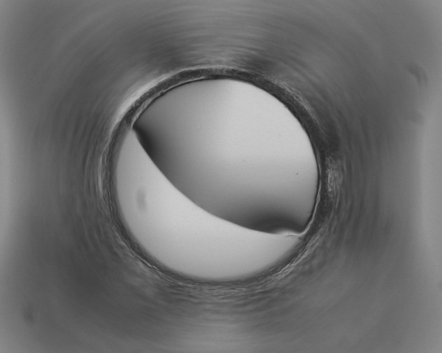 X0000113351069200910061014