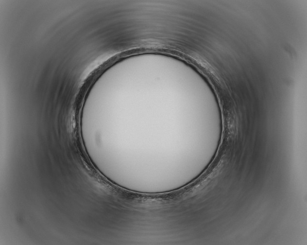 X0000113351070200910061014