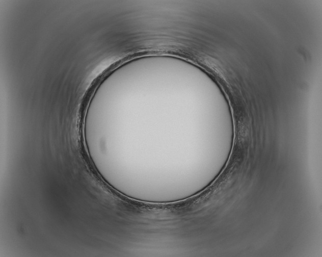 X0000113351071200910061014