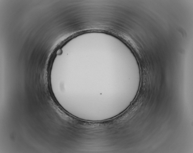 X0000113351072200910061014