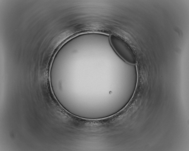 X0000113351073200910061014