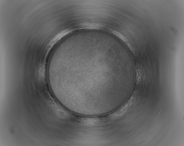 X0000113351074200910061014