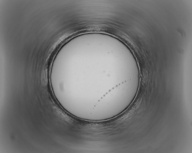 X0000113351075200910061014