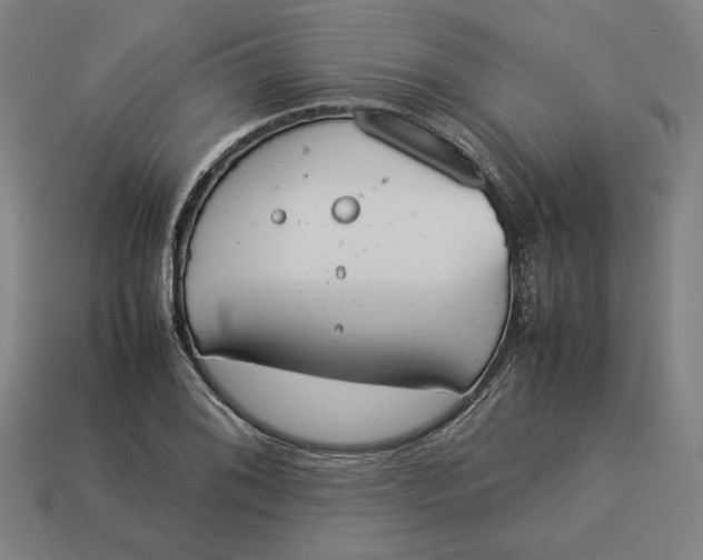 X0000113351076200910061014