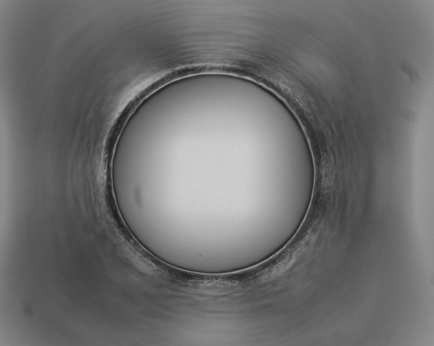 X0000113351077200910061014