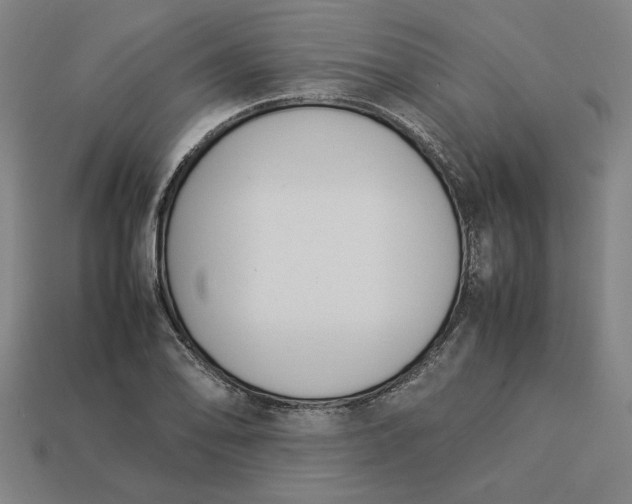 X0000113351078200910061014