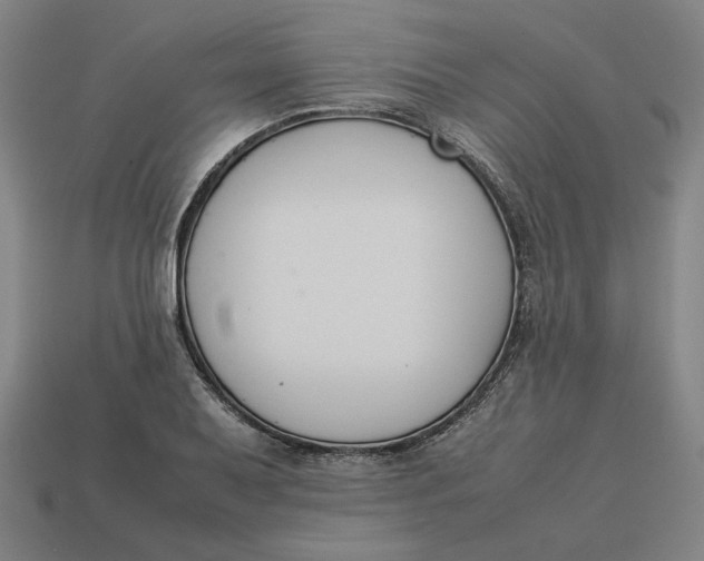 X0000113351079200910061014