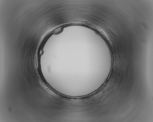 X0000113351080200910061014