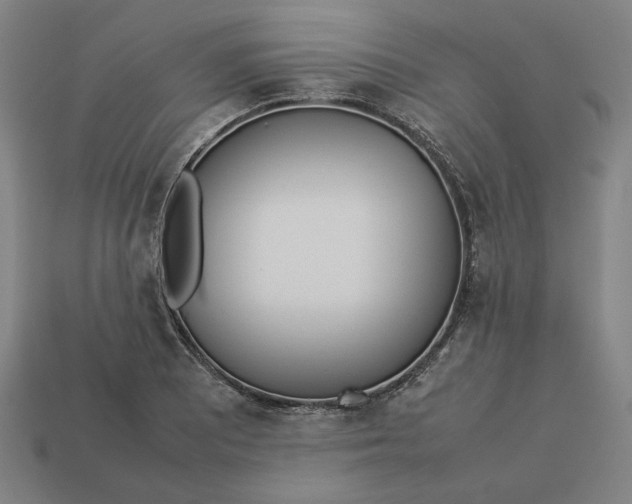 X0000113351081200910061014