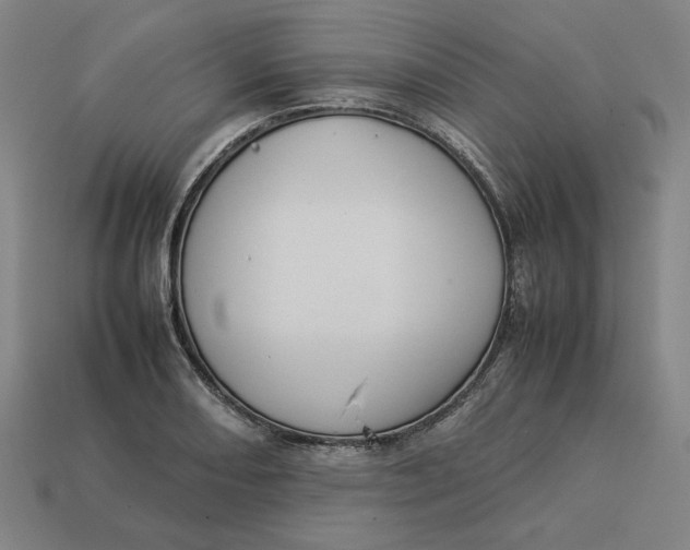 X0000113351082200910061014