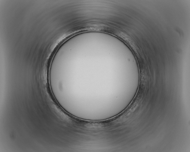 X0000113351083200910061014