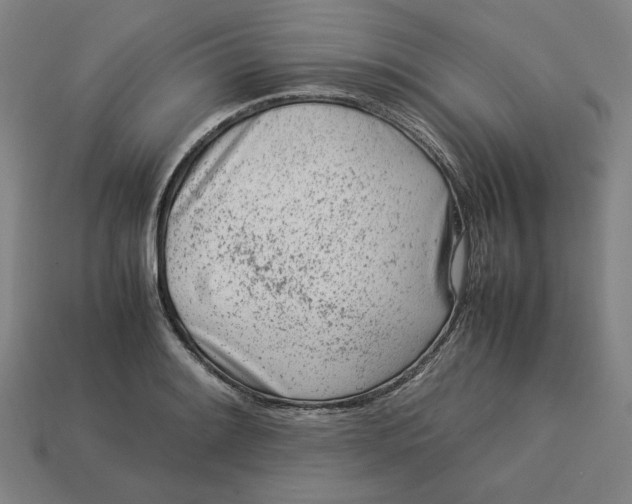 X0000113351084200910061014