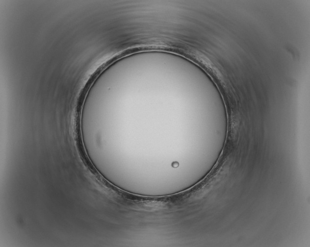 X0000113351085200910061014