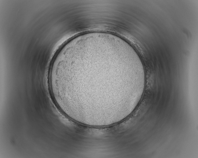 X0000113351086200910061014