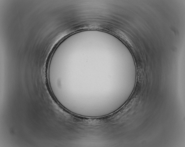 X0000113351087200910061014