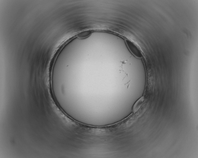 X0000113351088200910061014