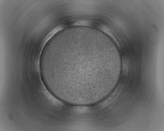 X0000113351090200910061013