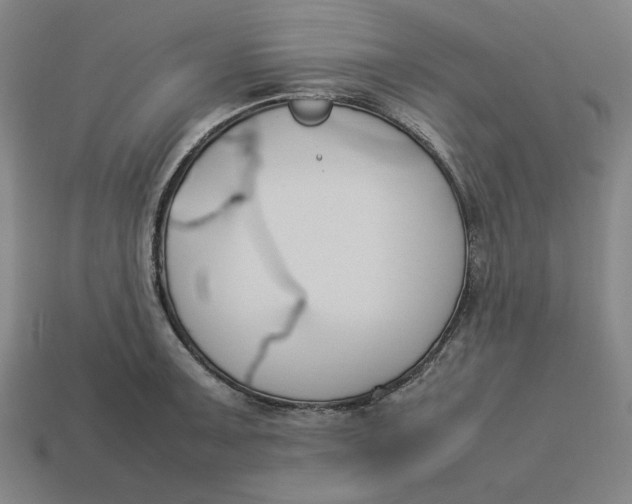 X0000113351091200910061013