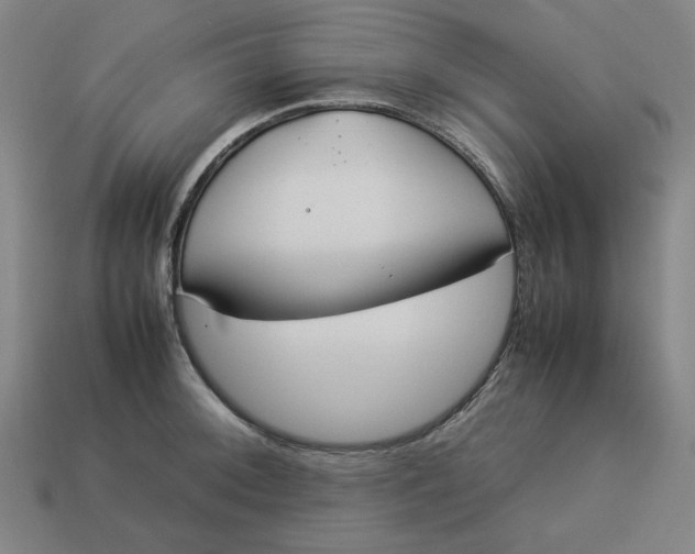 X0000113351092200910061013