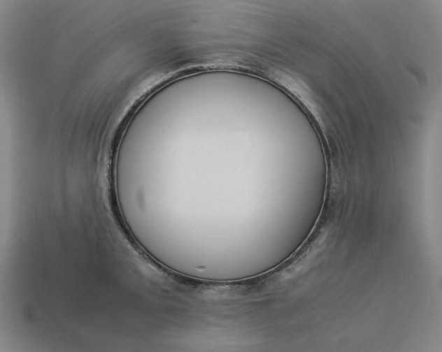 X0000113351093200910061013