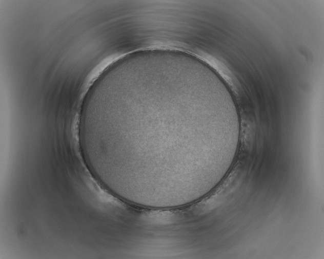 X0000113351094200910061013