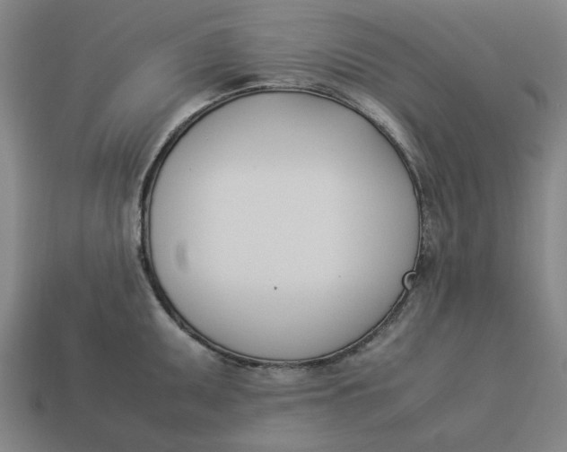 X0000113351095200910061013