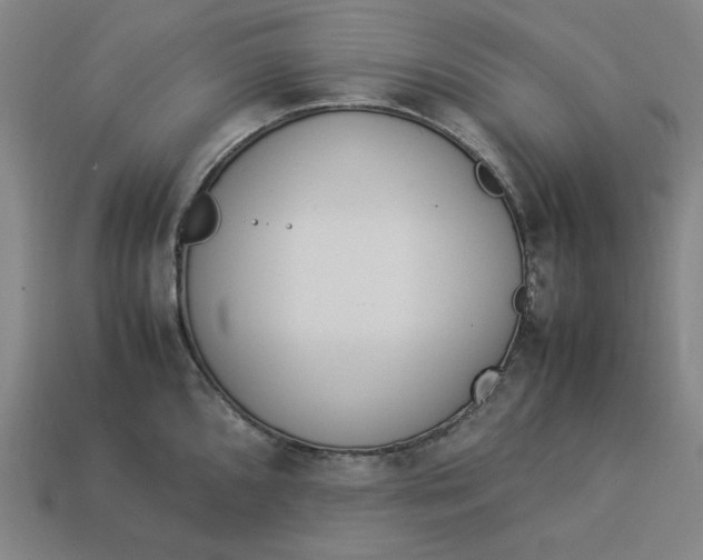 X0000113351096200910061013