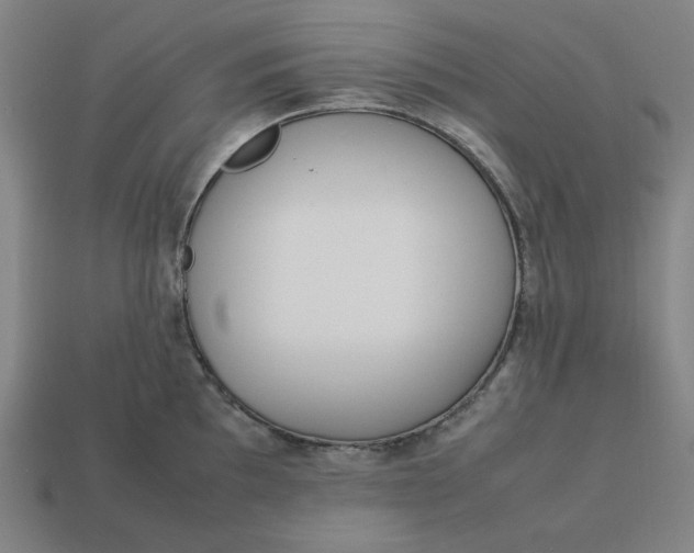 X0000113351097200910061013