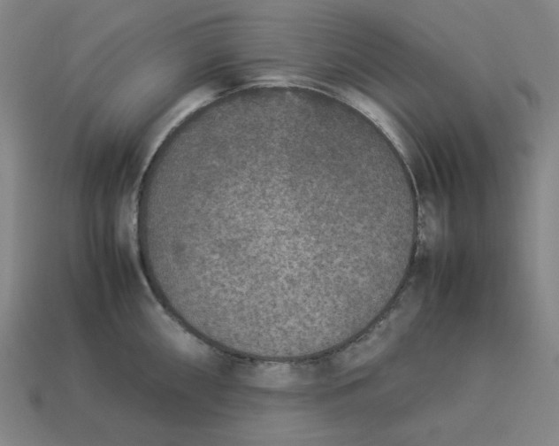 X0000113351098200910061013