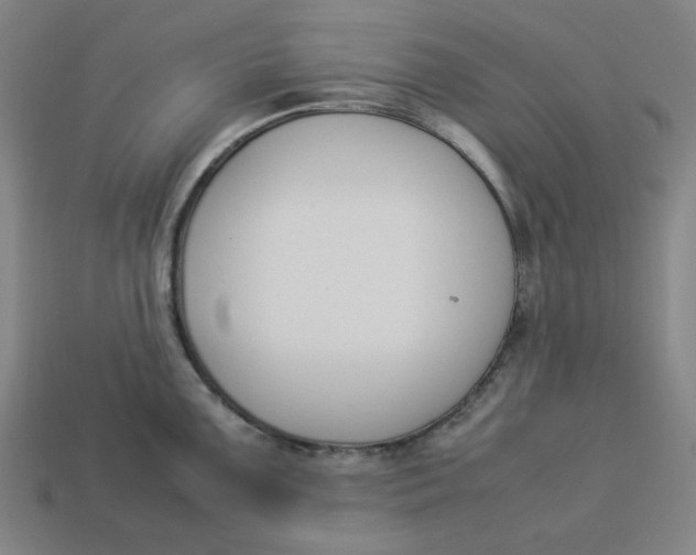 X0000113351099200910061013