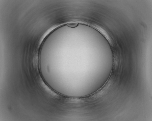 X0000113351100200910061013