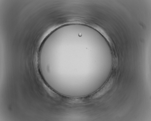 X0000113351101200910061013