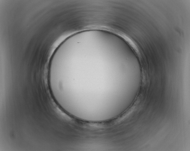 X0000113351102200910061013