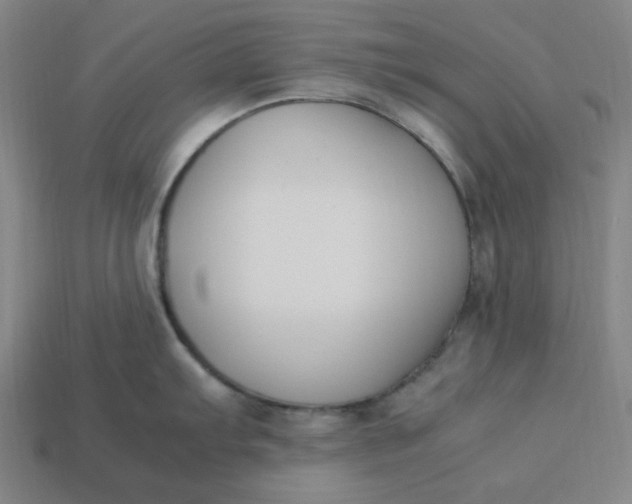 X0000113351103200910061013