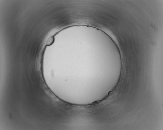 X0000113351104200910061013